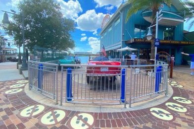 NEWS! The Vintage Amphicars Are BACK in Disney Springs With a Big Discount!