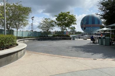 PHOTOS: What to Expect at Disney Springs Now That More Stores Are Open