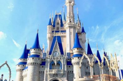 Confirmed: Disney World Will Offer Annual Passholder Previews