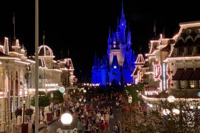Florida Department of Health Inspection Teams Survey Walt Disney World Ahead of Reopening