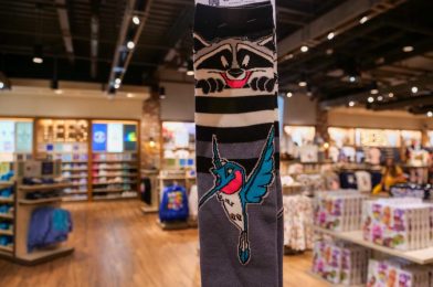 PHOTOS: New “Pocahontas” Meeko and Flit Socks Sneak Into Disney Springs