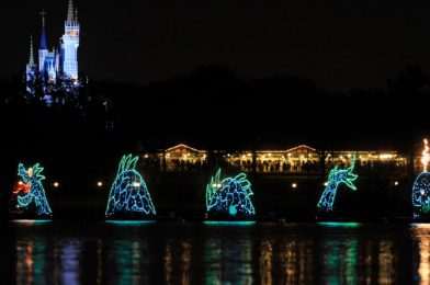 Electrical Water Pageant Will Not Be Available Upon Reopening of Walt Disney World