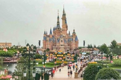NEWS! Disney English Learning Centers Will Be Closing in China!