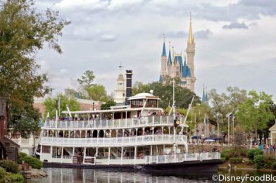 We Asked Our Readers: Do You Think It’s Too Soon to Reopen Disney World Parks? Here’s What They Said.
