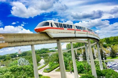 BREAKING NEWS: Disney World Transportation UPDATES That Are Coming SOON.