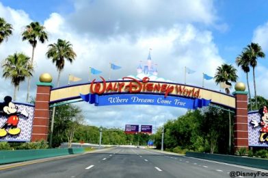 Take These Steps on My Disney Experience NOW For Your Upcoming Walt Disney World Vacation