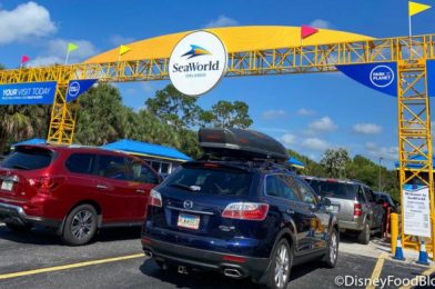 We’re LIVE From the Grand Reopening of SeaWorld Orlando