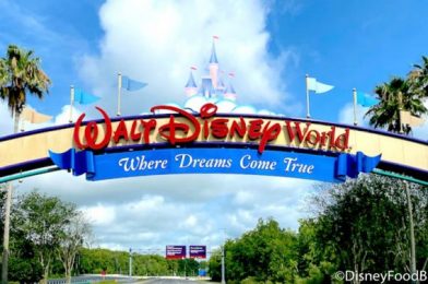 Guess What Disney World Transportation Is BACK in the Sky Today!
