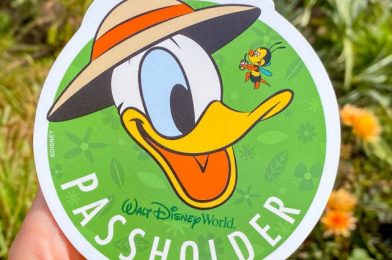 Disney World’s Annual Passholder Calendar Has Been Updated to Reflect Required Reservation Information