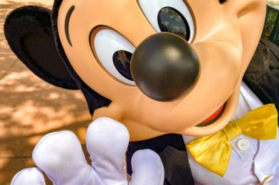 Seven of the Most Disney Ways to Deal With The Rest of 2020