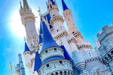 The Disney World You DON’T See! 6 Things That Happen EVERY DAY in Disney World That You’ll NEVER Know (Until Now)!