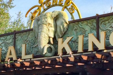 News: Disney’s Animal Kingdom Park Pass Reservations Are Now FULL For July 13th!