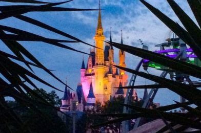 6 BIZARRE Disney World Changes We REALLY Didn’t See Coming!