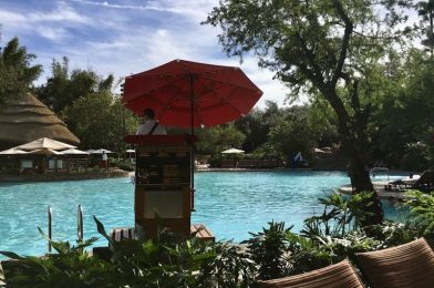 Pool Open, Restaurants Closed at Jambo Reopen