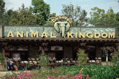 Land Near Disney’s Animal Kingdom Reportedly Contracted for Resort-Style Development