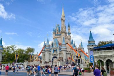Pardon Disney’s Pixie Dust: This Disney World Construction Could Impact Your Next Vacation