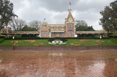 Restaurants Have Been Temporarily Removed from Disneyland’s Reservation Website