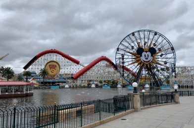 Disneyland Reopening Postponed
