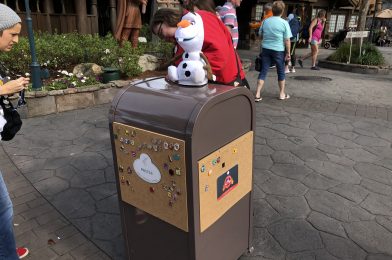 Limited Edition Merchandise Releases Cancelled for Foreseeable Future, Disney Pin Trading Will Continue at Walt Disney World