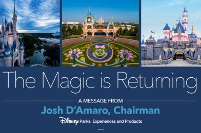 Josh D’Amaro Pens Thoughtful Message on the Reopening of Disney Parks Worldwide