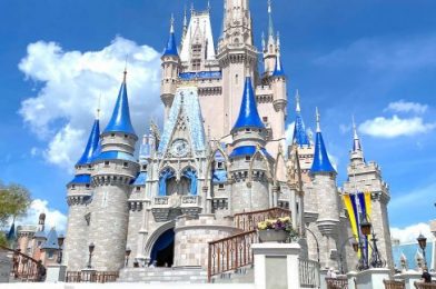 You’ve GOTTA See How Construction Is Progressing on Cinderella Castle in Disney World!
