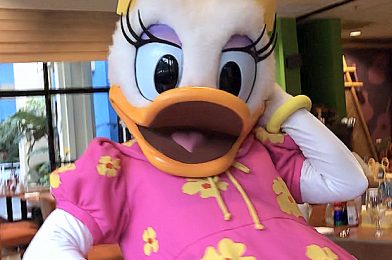 We’re Totally Adding This Adorable DAISY Duck Loungefly Set to Our Collection!
