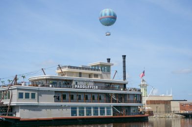 Paddlefish and Terralina Crafted Italian  at Disney Springs to Lay Off Over 140 Employees