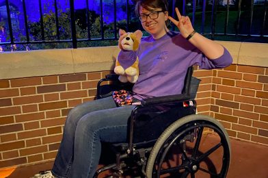 Walt Disney World’s Disability Access Service Will Not Change Amid COVID-19 Precautions