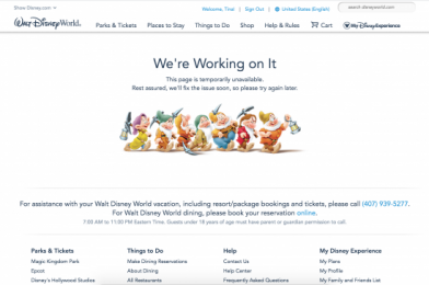 These Are the GLITCHES with the New Disney Park Pass Reservation System — And How to Deal With Them