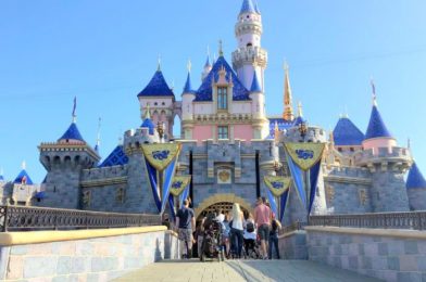 NEWS! Construction Has Resumed on Disneyland’s Frontierland Gate!