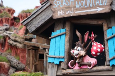 Disney Parks Fans Petition for Splash Mountain to be Re-themed Into “Princess and the Frog” Attraction Due to Racial Stereotypes