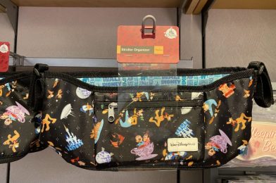 PHOTOS: New Must-Have Stroller Organizers Come To Walt Disney World