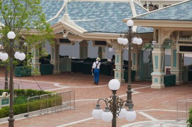 PHOTOS: New Social Distancing Measures Being Tested at Tokyo Disney Resort