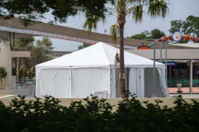 PHOTOS: Temperature Screening Tents Appear at the Transportation and Ticket Center at Walt Disney World