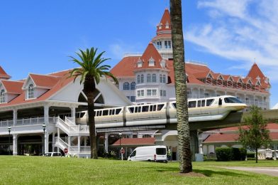 NBA Hotels Revealed; Grand Floridian Among Them