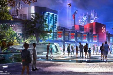 NEWS: Disney Issues An Update On Construction Schedules For In-Progress Theme Park Attractions