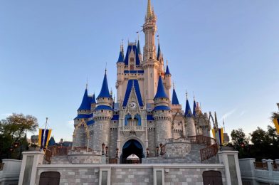 Walt Disney World Resort 2021 Theme Park Tickets Available for Purchase Tomorrow
