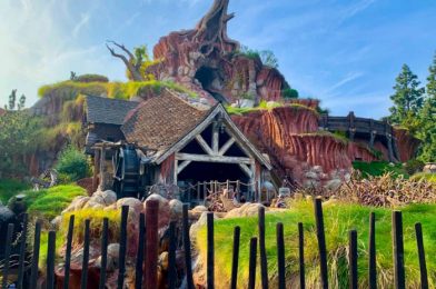 NEWS and Photo: Splash Mountain Will Be Re-Themed to Princess and the Frog In Disney World and Disneyland