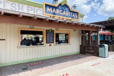 Review! The Watermelon Margarita Has Some Serious Competition in Disney World…