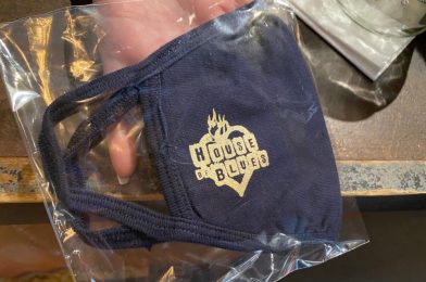 PHOTOS: New Face Masks Now Available for Purchase at Reopened House of Blues in Disney Springs