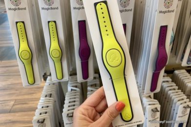 We Just Found the Most LUXE MagicBand in Disney World and We’re in Love