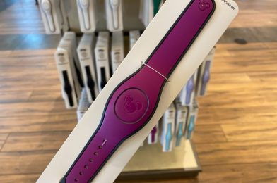 PHOTOS: New Magenta Open Edition MagicBand Now Available at Disney Springs