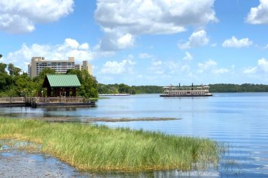 PHOTOS, VIDEO: Magic Kingdom Ferryboats Now Testing and Training Ahead of Reopening at Walt Disney World