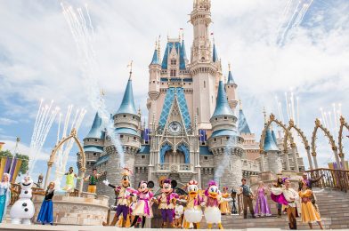 Walt Disney World Would Like to Reopen with Stage Shows, Union Not Likely to Agree