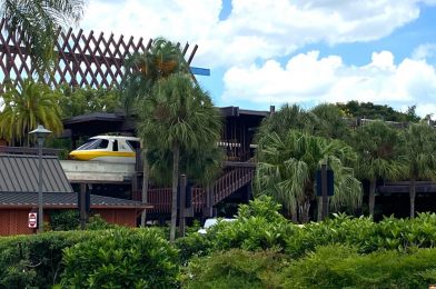 PHOTOS: Walt Disney World Monorail System Currently Testing Ahead of Reopening
