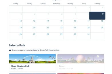 Walt Disney World Park Pass Reservation System Now Live for Existing Ticket Holders