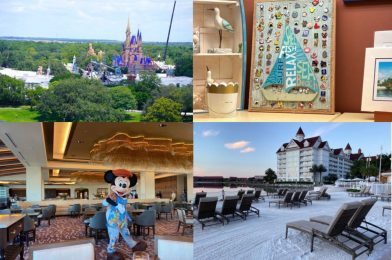 WDWNT Weekly Recap: Disneyland Reopening Delayed, Splash Mountain to be Rethemed, Walt Disney World Resort Hotel Reopenings, and More