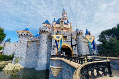 Disneyland Resort to Preform Park Flyovers for Aerial Reference Footage This Week
