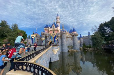 Disneyland Releases Enhanced Health and Safety Measures Ahead of Proposed Reopening; Face Masks Required for Cast Members and Guests