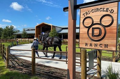 PHOTOS, VIDEO: First Look Inside NEW Tri-Circle-D Ranch at Disney’s Fort Wilderness Resort & Campground; Baby Foal Named “Violet” Born